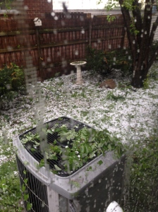 Hail in our backyard